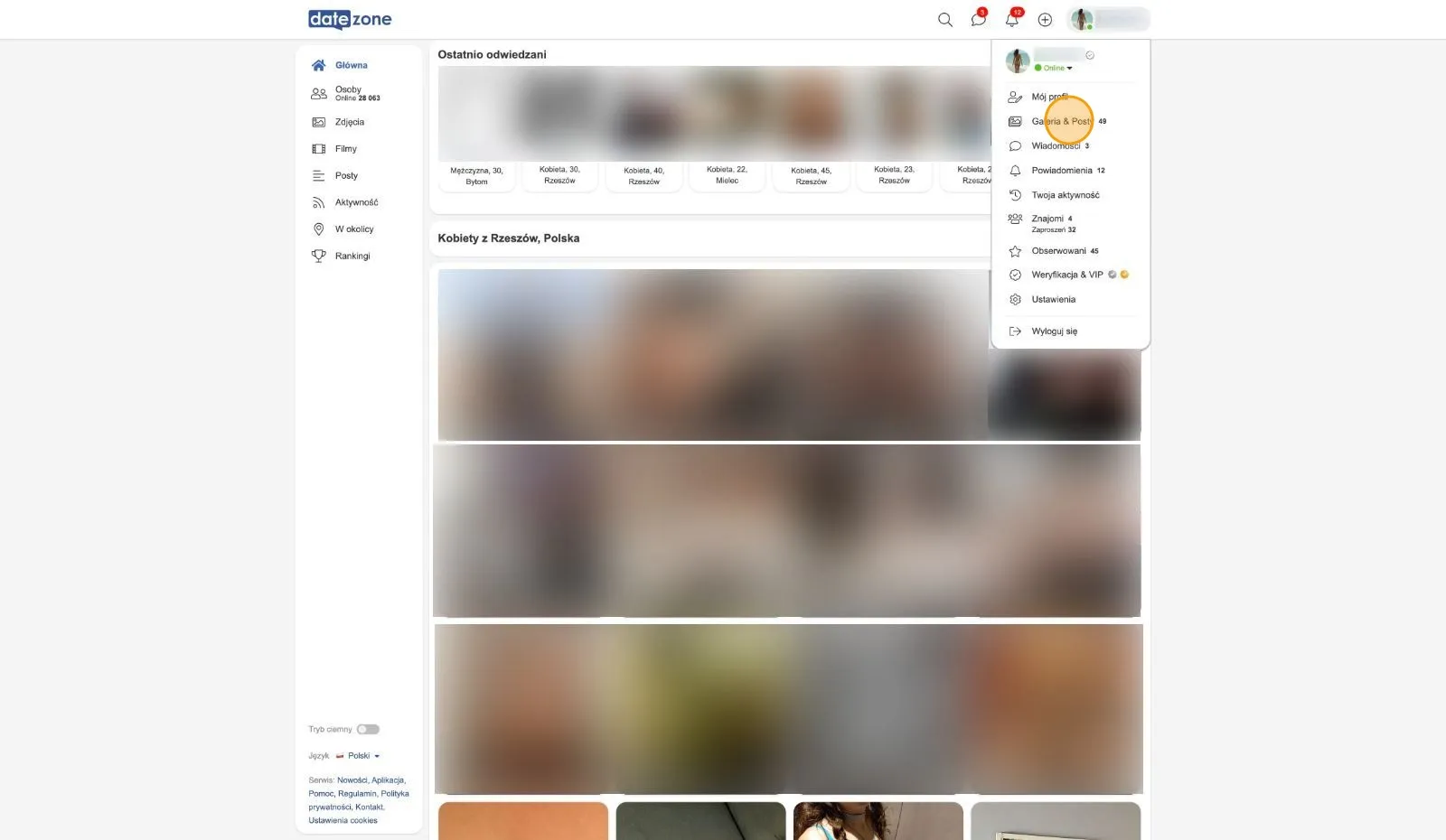 Rozwinięte menu profilu w serwisie Datezone z zaznaczoną pozycją Galeria & Posty