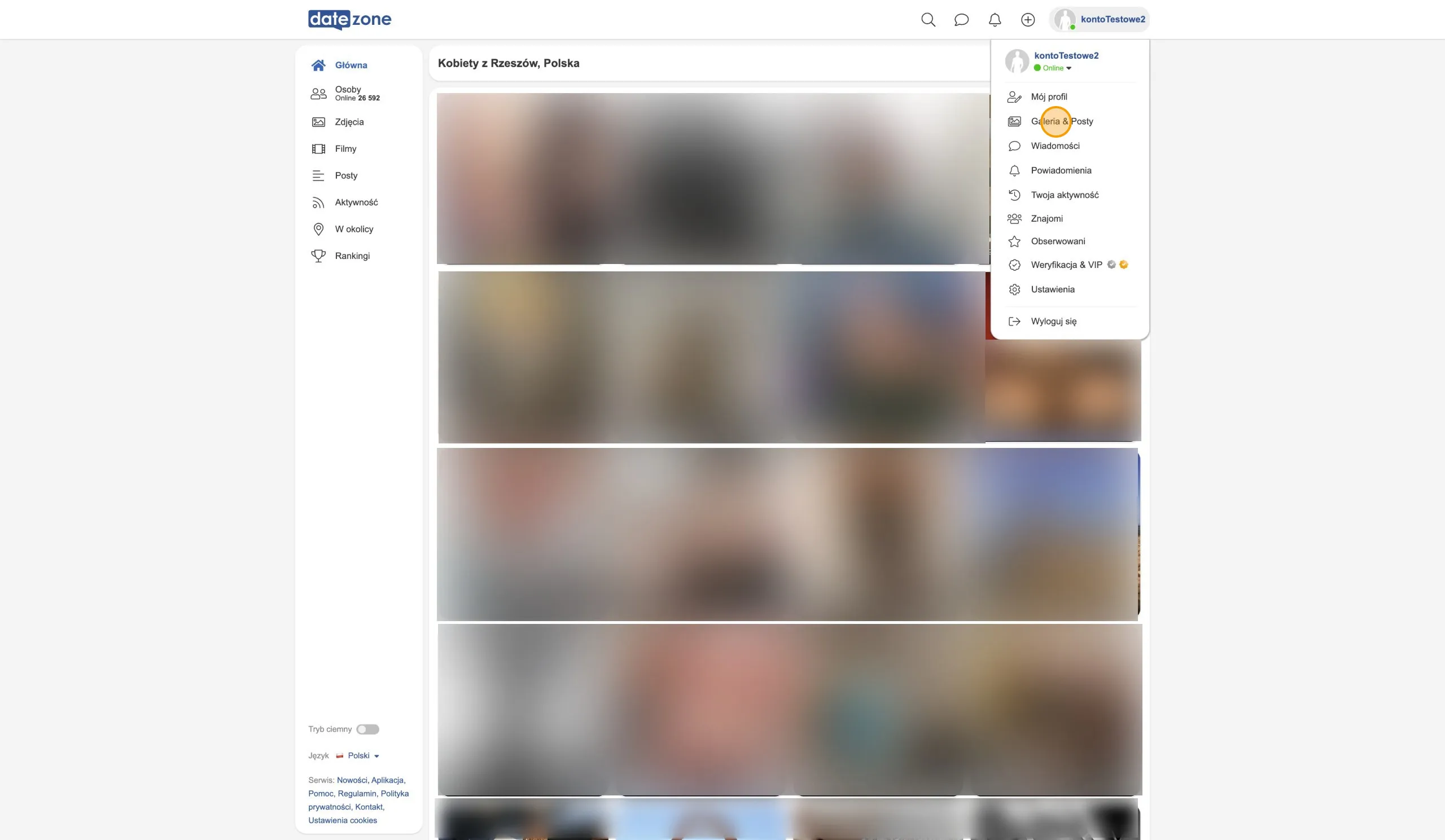 Rozwinięte menu profilu w serwisie Datezone z zaznaczoną pozycją Galeria & Posty
